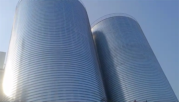 甘井子2座混凝土高架卷板仓